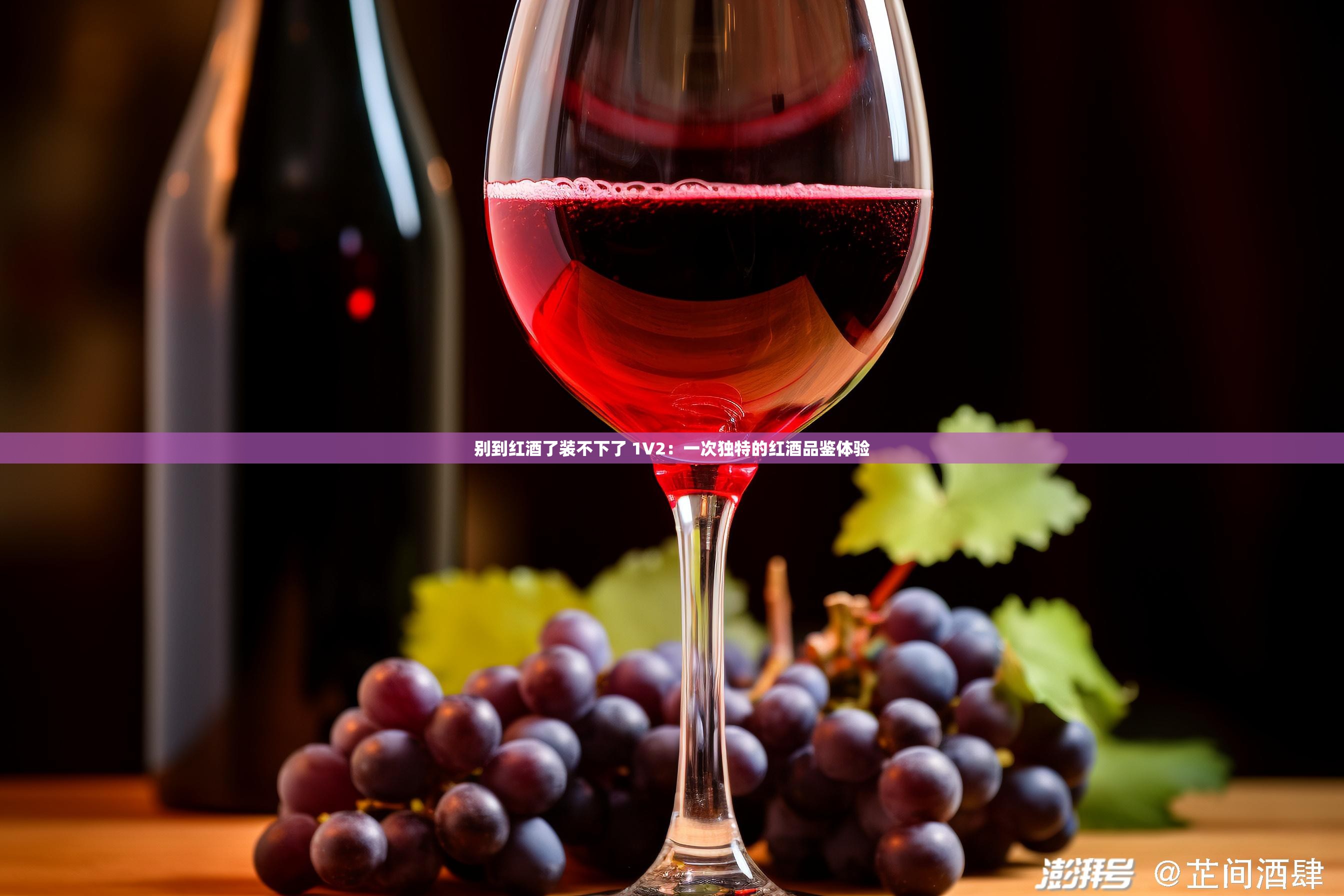 别到红酒了装不下了 1V2：一次独特的红酒品鉴体验
