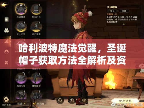 哈利波特魔法觉醒，圣诞帽子获取方法全解析及资源管理高效技巧
