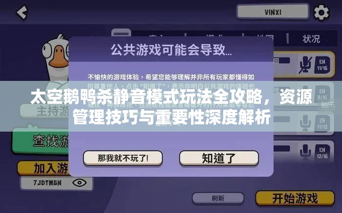 太空鹅鸭杀静音模式玩法全攻略，资源管理技巧与重要性深度解析
