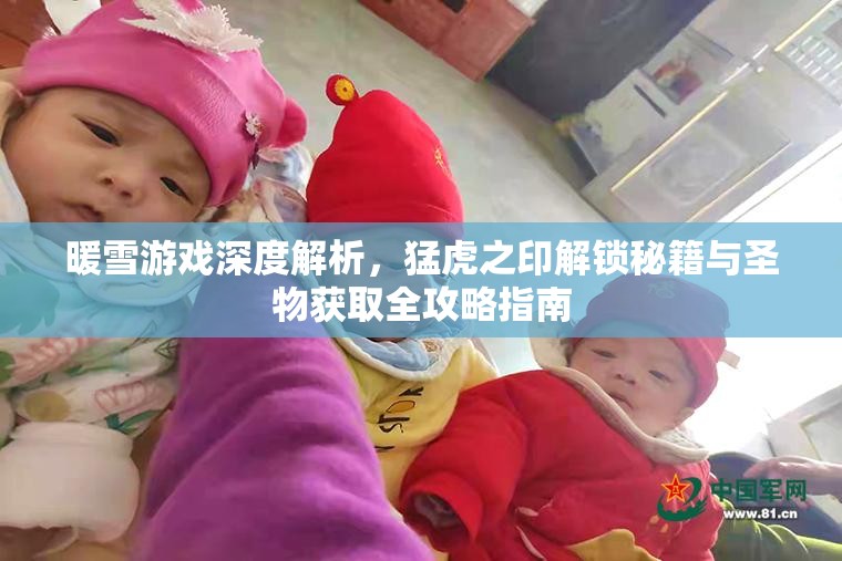 暖雪游戏深度解析，猛虎之印解锁秘籍与圣物获取全攻略指南