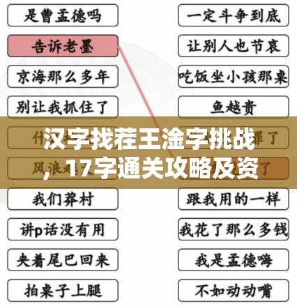 汉字找茬王淦字挑战，17字通关攻略及资源管理高效策略解析