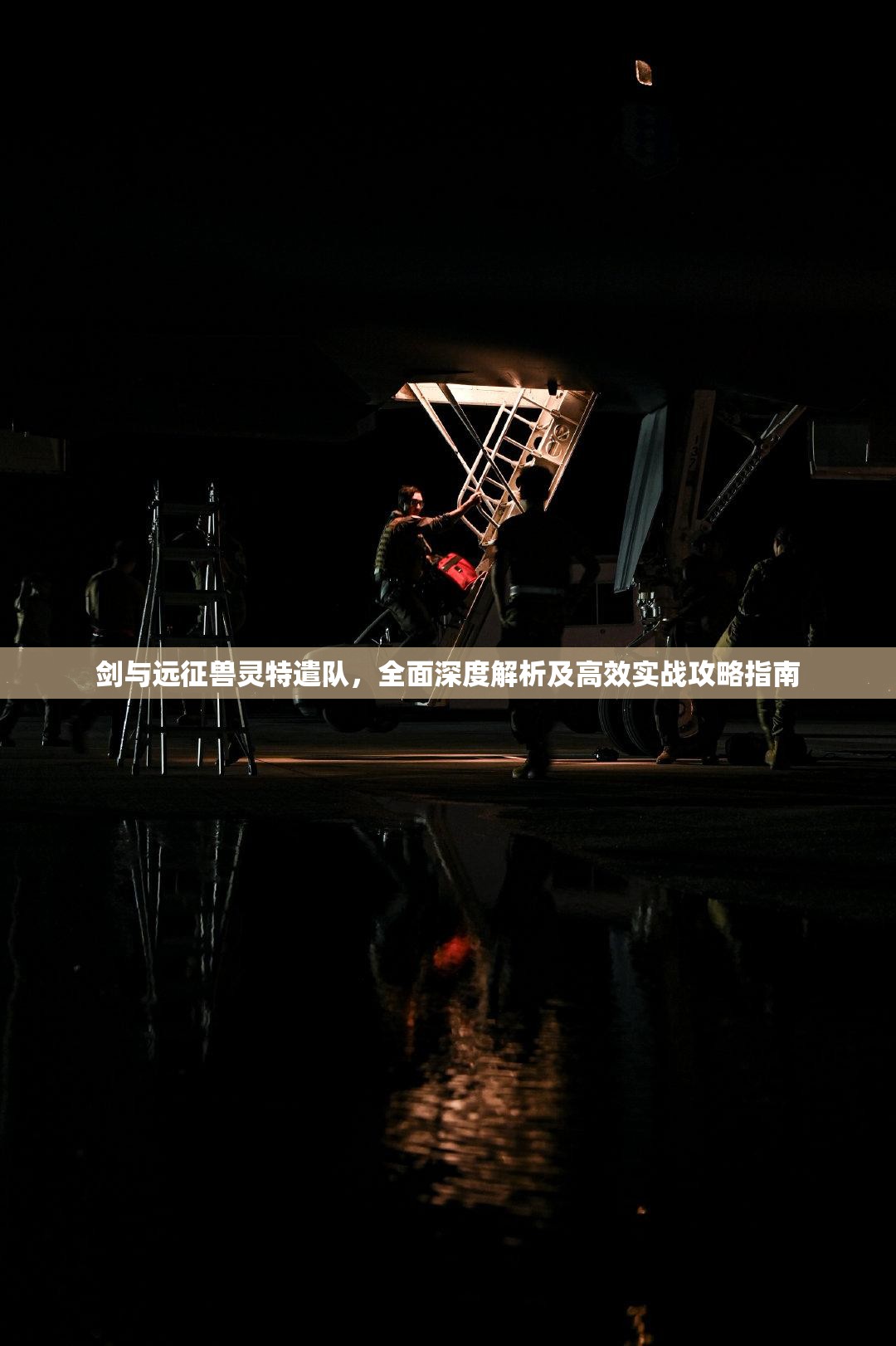 剑与远征兽灵特遣队，全面深度解析及高效实战攻略指南