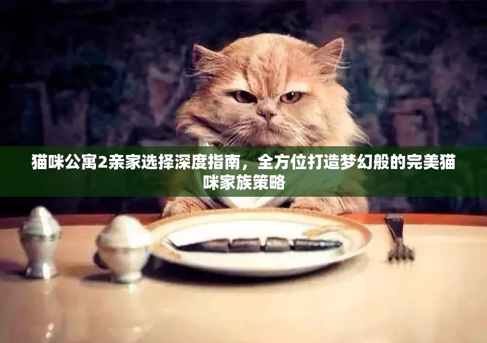 猫咪公寓2亲家选择深度指南，全方位打造梦幻般的完美猫咪家族策略
