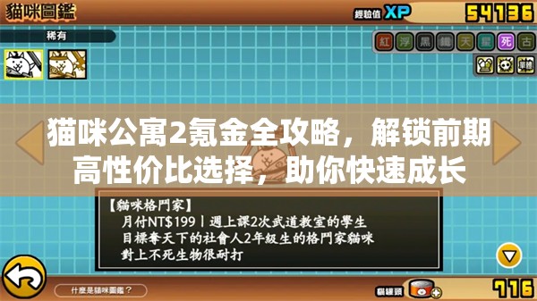 猫咪公寓2氪金全攻略，解锁前期高性价比选择，助你快速成长