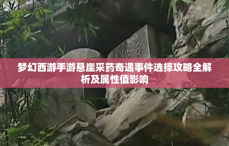 梦幻西游手游悬崖采药奇遇事件选择攻略全解析及属性值影响