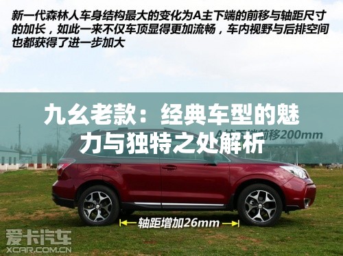 九幺老款：经典车型的魅力与独特之处解析