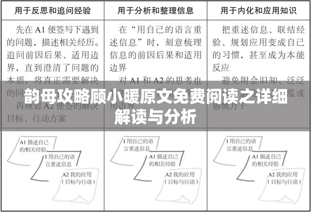 韵母攻略顾小暖原文免费阅读之详细解读与分析