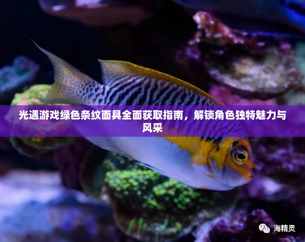 光遇游戏绿色条纹面具全面获取指南，解锁角色独特魅力与风采