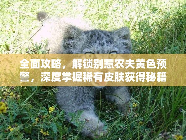 全面攻略，解锁别惹农夫黄色预警，深度掌握稀有皮肤获得秘籍
