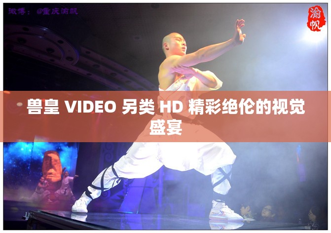 兽皇 VIDEO 另类 HD 精彩绝伦的视觉盛宴