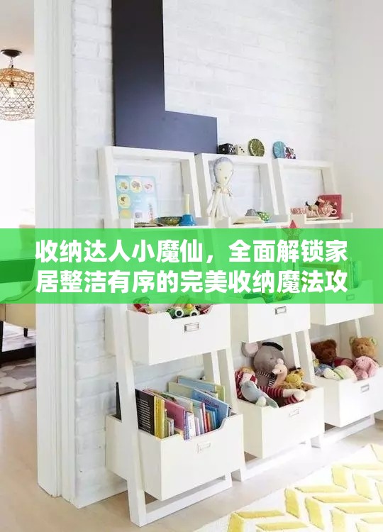 收纳达人小魔仙，全面解锁家居整洁有序的完美收纳魔法攻略