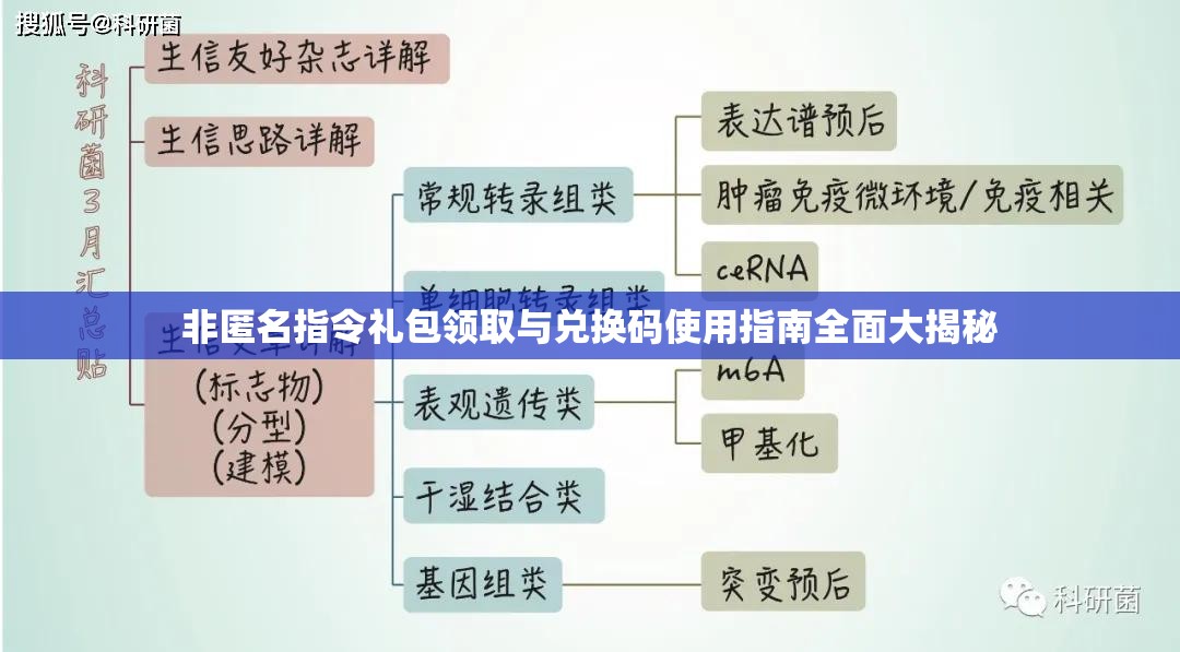 非匿名指令礼包领取与兑换码使用指南全面大揭秘