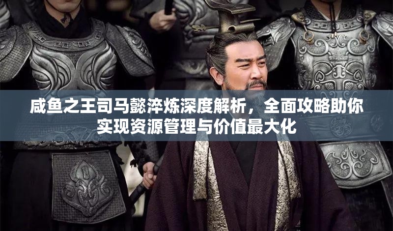 咸鱼之王司马懿淬炼深度解析，全面攻略助你实现资源管理与价值最大化