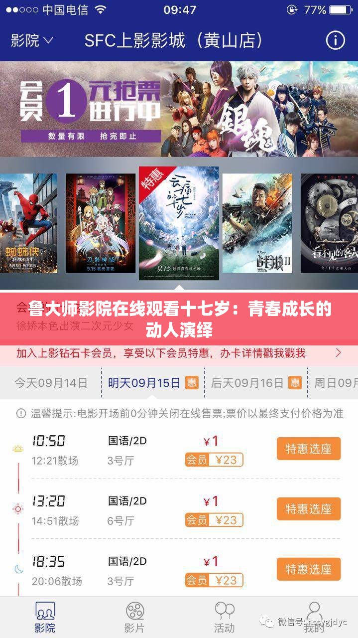 鲁大师影院在线观看十七岁：青春成长的动人演绎