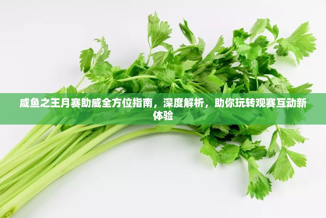 咸鱼之王月赛助威全方位指南，深度解析，助你玩转观赛互动新体验