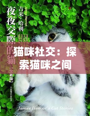 猫咪社交：探索猫咪之间奇妙的交流与互动世界