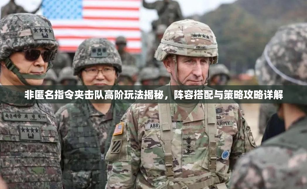 非匿名指令夹击队高阶玩法揭秘，阵容搭配与策略攻略详解