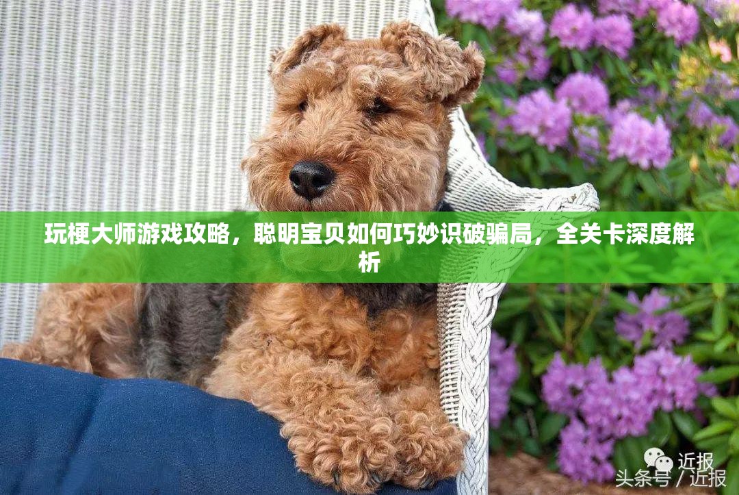 玩梗大师游戏攻略，聪明宝贝如何巧妙识破骗局，全关卡深度解析