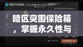 暗区突围保险箱，掌握永久性与时间限制的资源管理艺术与策略