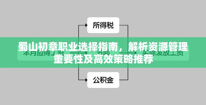 蜀山初章职业选择指南，解析资源管理重要性及高效策略推荐