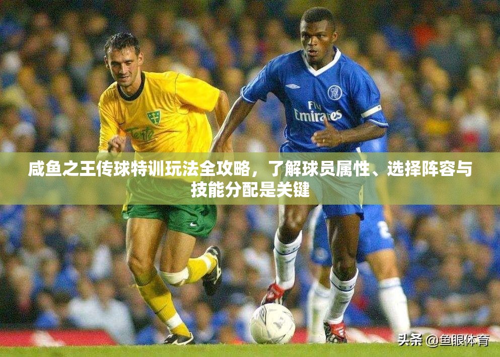 咸鱼之王传球特训玩法全攻略，了解球员属性、选择阵容与技能分配是关键