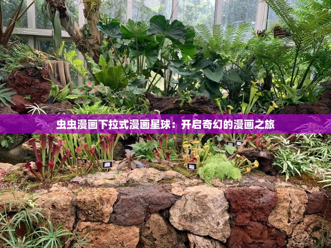 虫虫漫画下拉式漫画星球：开启奇幻的漫画之旅