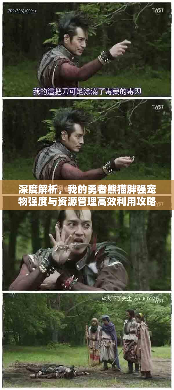 深度解析，我的勇者熊猫胖强宠物强度与资源管理高效利用攻略