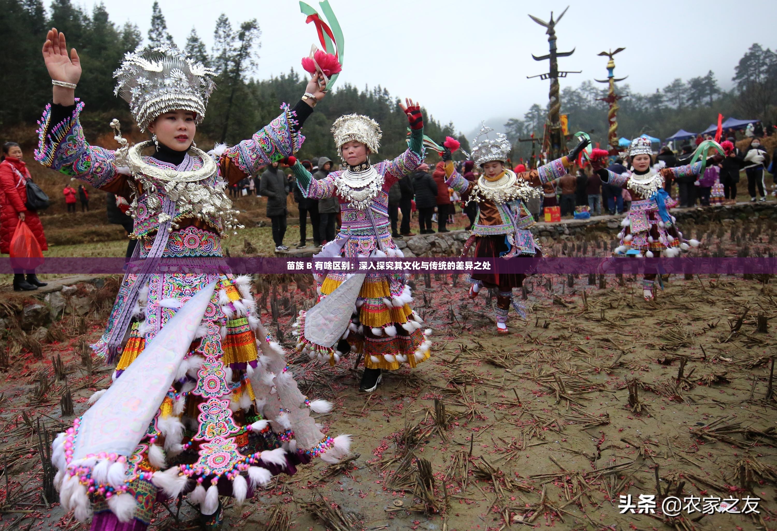 苗族 B 有啥区别：深入探究其文化与传统的差异之处