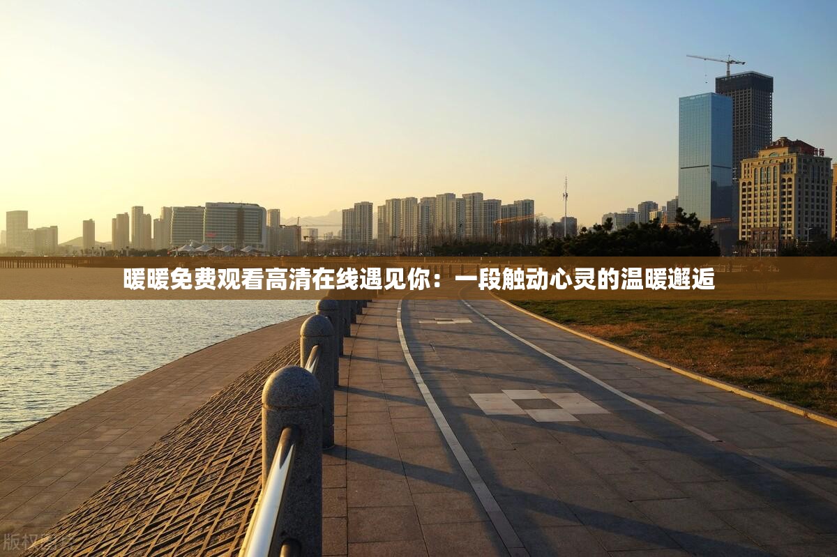 暖暖免费观看高清在线遇见你：一段触动心灵的温暖邂逅