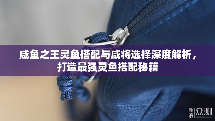 咸鱼之王灵鱼搭配与咸将选择深度解析，打造最强灵鱼搭配秘籍