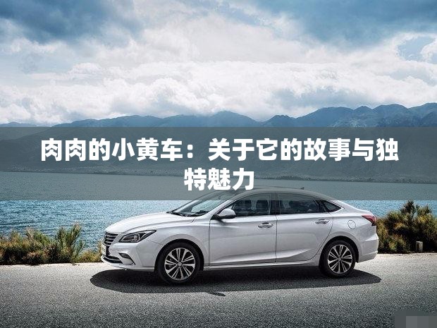肉肉的小黄车：关于它的故事与独特魅力
