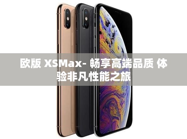 欧版 XSMax- 畅享高端品质 体验非凡性能之旅