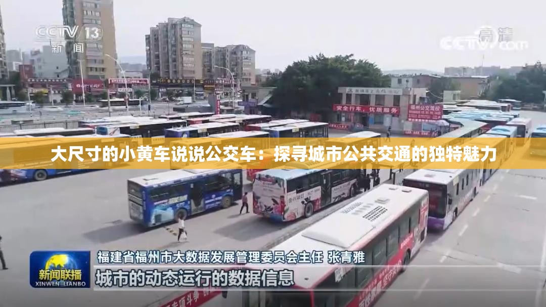 大尺寸的小黄车说说公交车：探寻城市公共交通的独特魅力