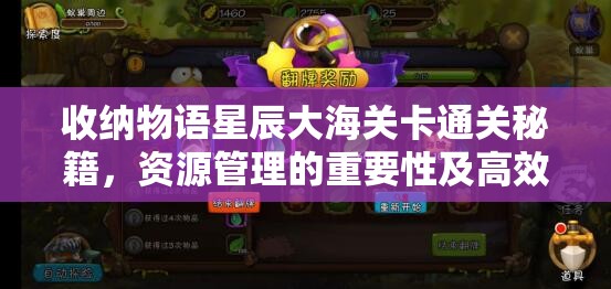 收纳物语星辰大海关卡通关秘籍，资源管理的重要性及高效策略解析