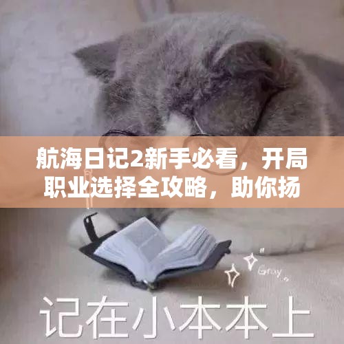 航海日记2新手必看，开局职业选择全攻略，助你扬帆起航