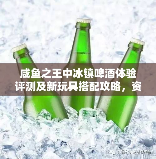 咸鱼之王中冰镇啤酒体验评测及新玩具搭配攻略，资源管理高效利用策略解析