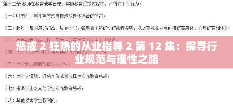 惩戒 2 狂热的从业指导 2 第 12 集：探寻行业规范与理性之路