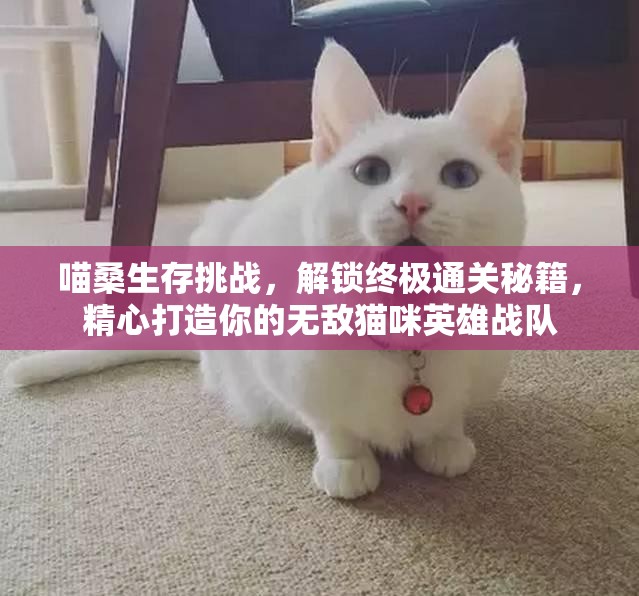 喵桑生存挑战，解锁终极通关秘籍，精心打造你的无敌猫咪英雄战队