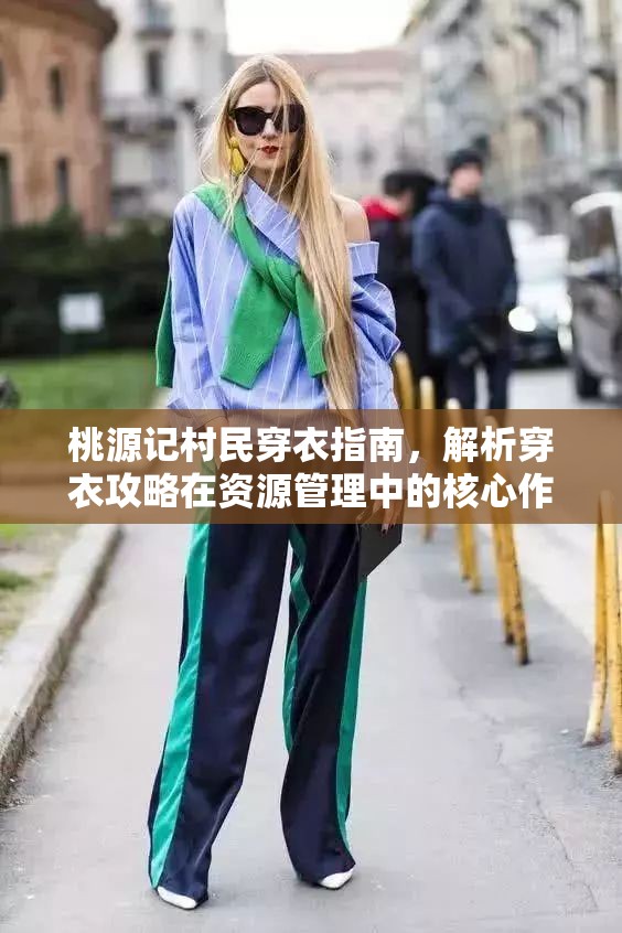 桃源记村民穿衣指南，解析穿衣攻略在资源管理中的核心作用与高效实施策略