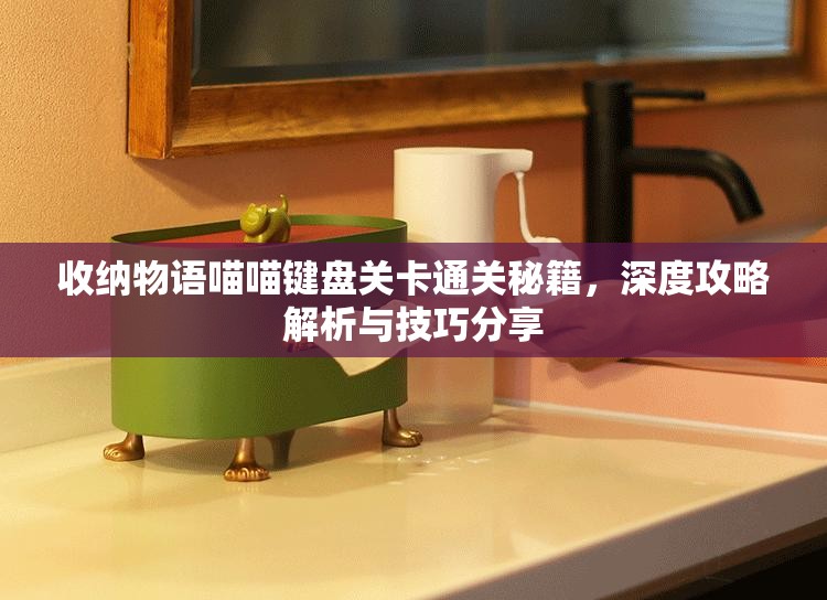 收纳物语喵喵键盘关卡通关秘籍，深度攻略解析与技巧分享