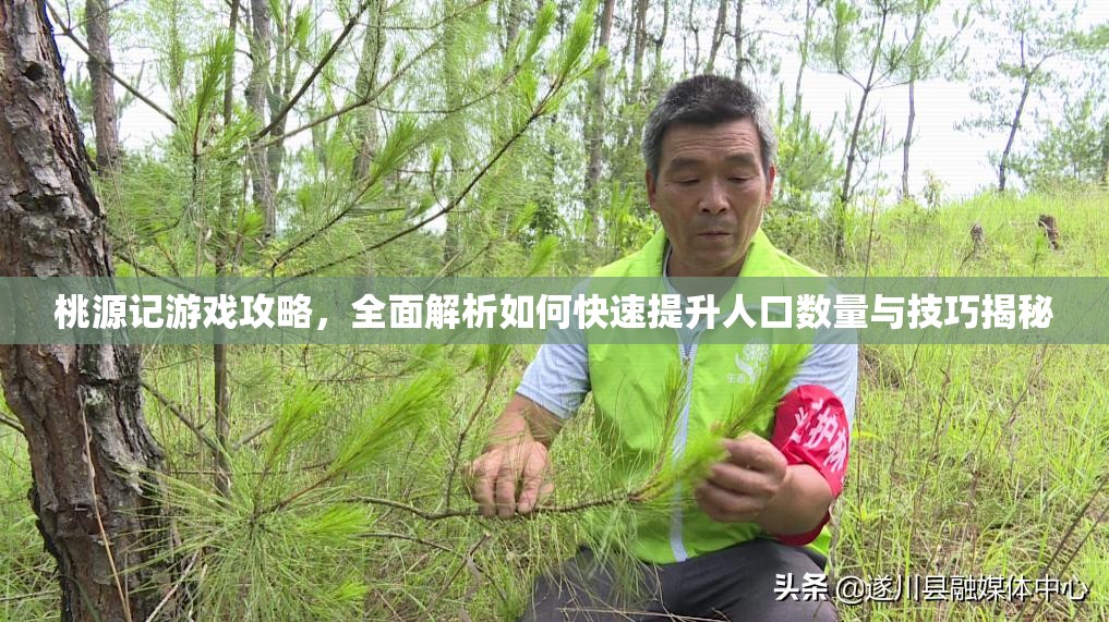 桃源记游戏攻略，全面解析如何快速提升人口数量与技巧揭秘