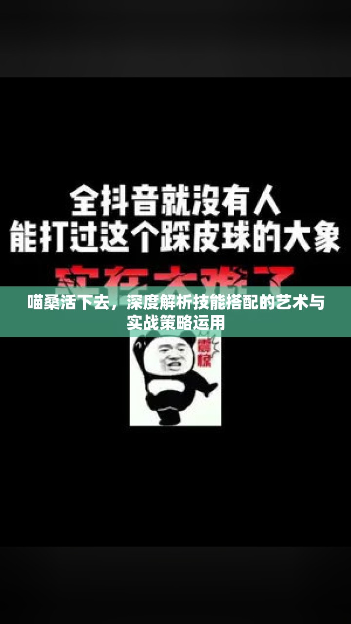 喵桑活下去，深度解析技能搭配的艺术与实战策略运用