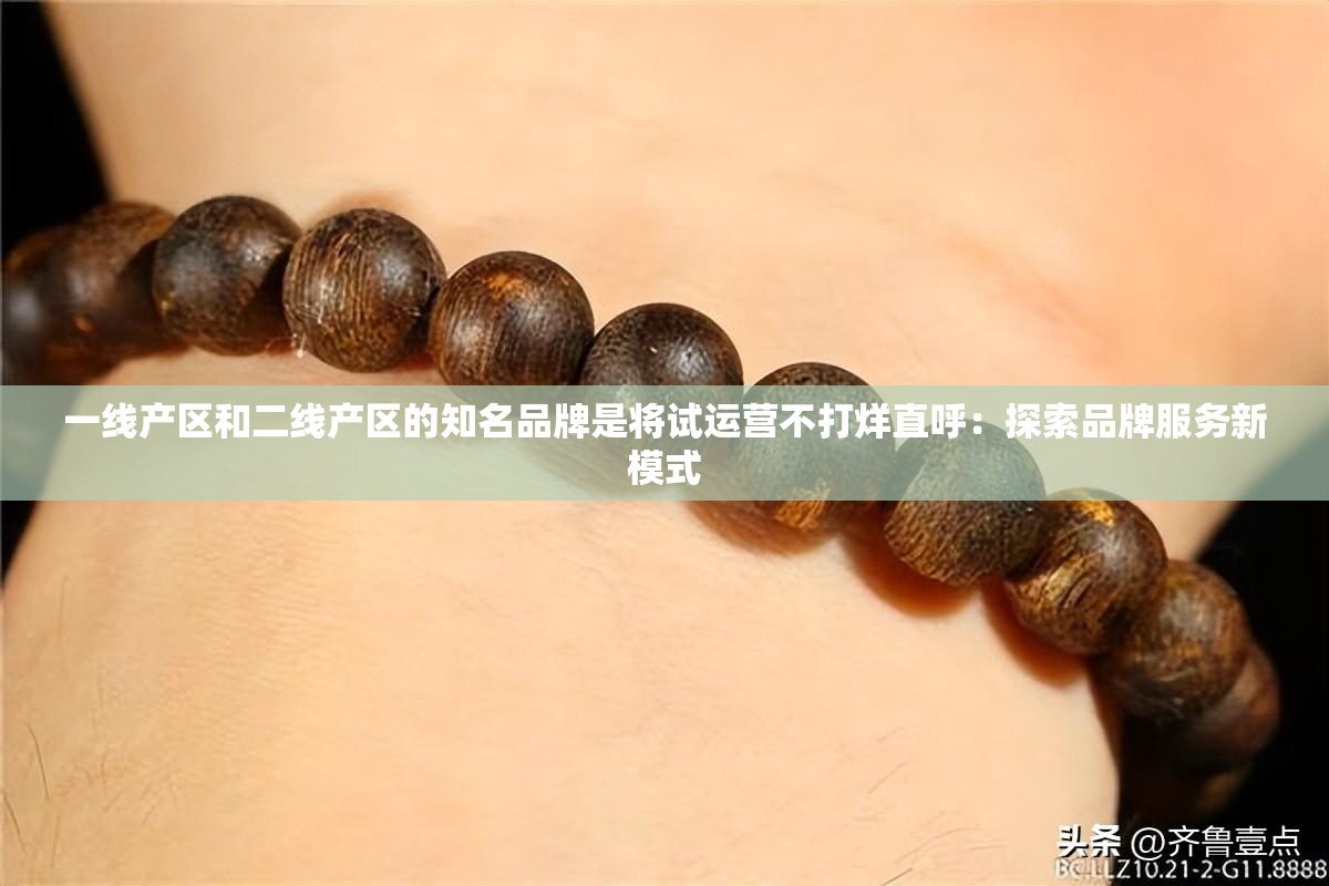一线产区和二线产区的知名品牌是将试运营不打烊直呼：探索品牌服务新模式
