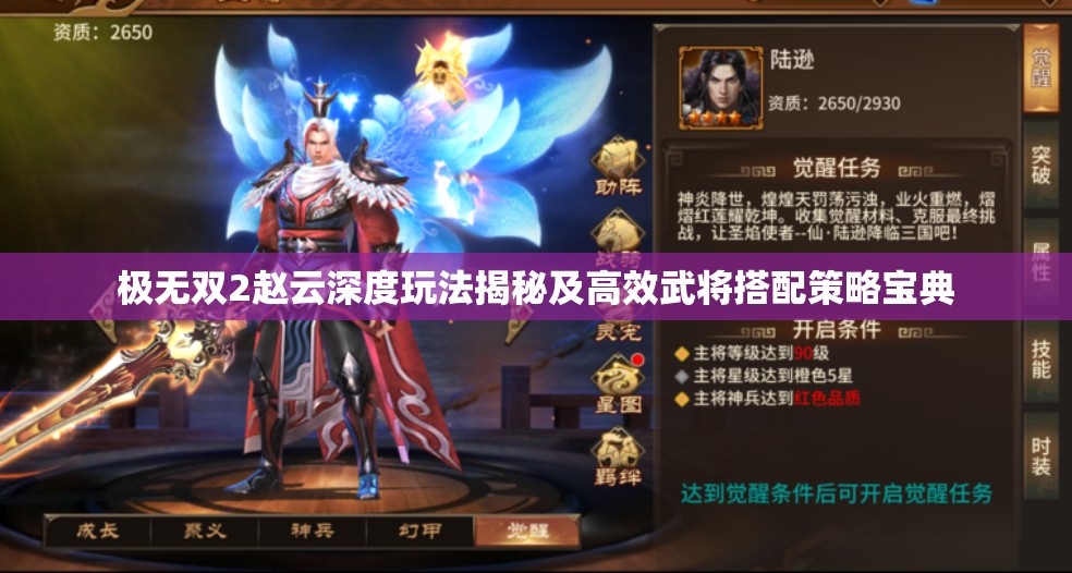 极无双2赵云深度玩法揭秘及高效武将搭配策略宝典