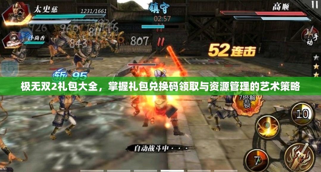 极无双2礼包大全，掌握礼包兑换码领取与资源管理的艺术策略