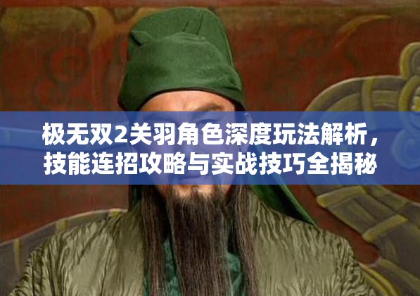 极无双2关羽角色深度玩法解析，技能连招攻略与实战技巧全揭秘