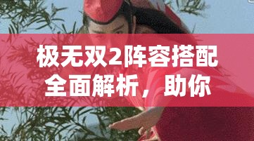 极无双2阵容搭配全面解析，助你构建战场上的不败之师策略