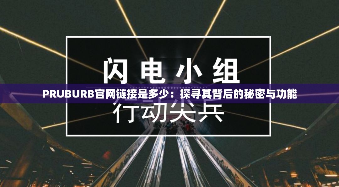 PRUBURB官网链接是多少：探寻其背后的秘密与功能