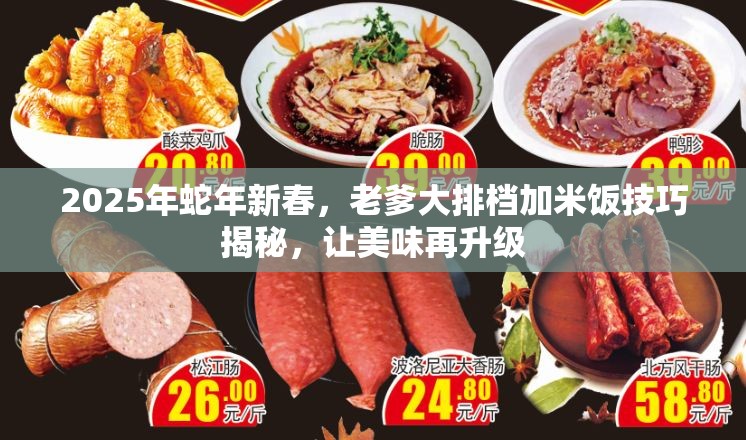 2025年蛇年新春，老爹大排档加米饭技巧揭秘，让美味再升级