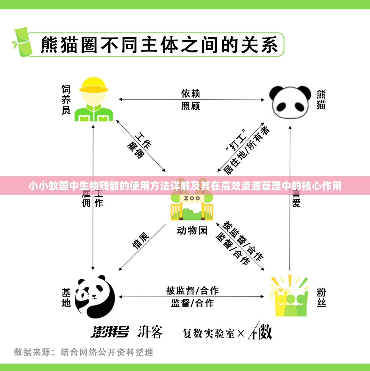 小小蚁国中生物残骸的使用方法详解及其在高效资源管理中的核心作用